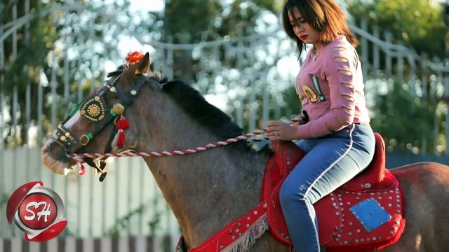 محمد صقر - برومو كليب ركبنا ع الحصان - 2019 قريبا - MOHAMED SAKR - REKEBNA 3 EL7OSAN