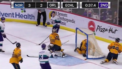 ECHL Norfolk Admirals 3 at Orlando Solar Bears 3