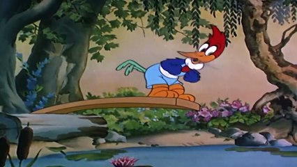 EL PAJARO LOCO ( Español )