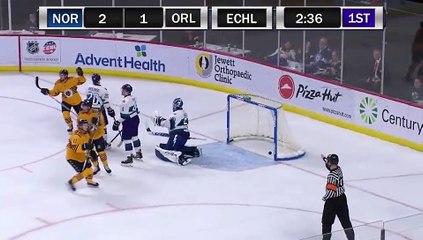 ECHL Norfolk Admirals 7 at Orlando Solar Bears 6