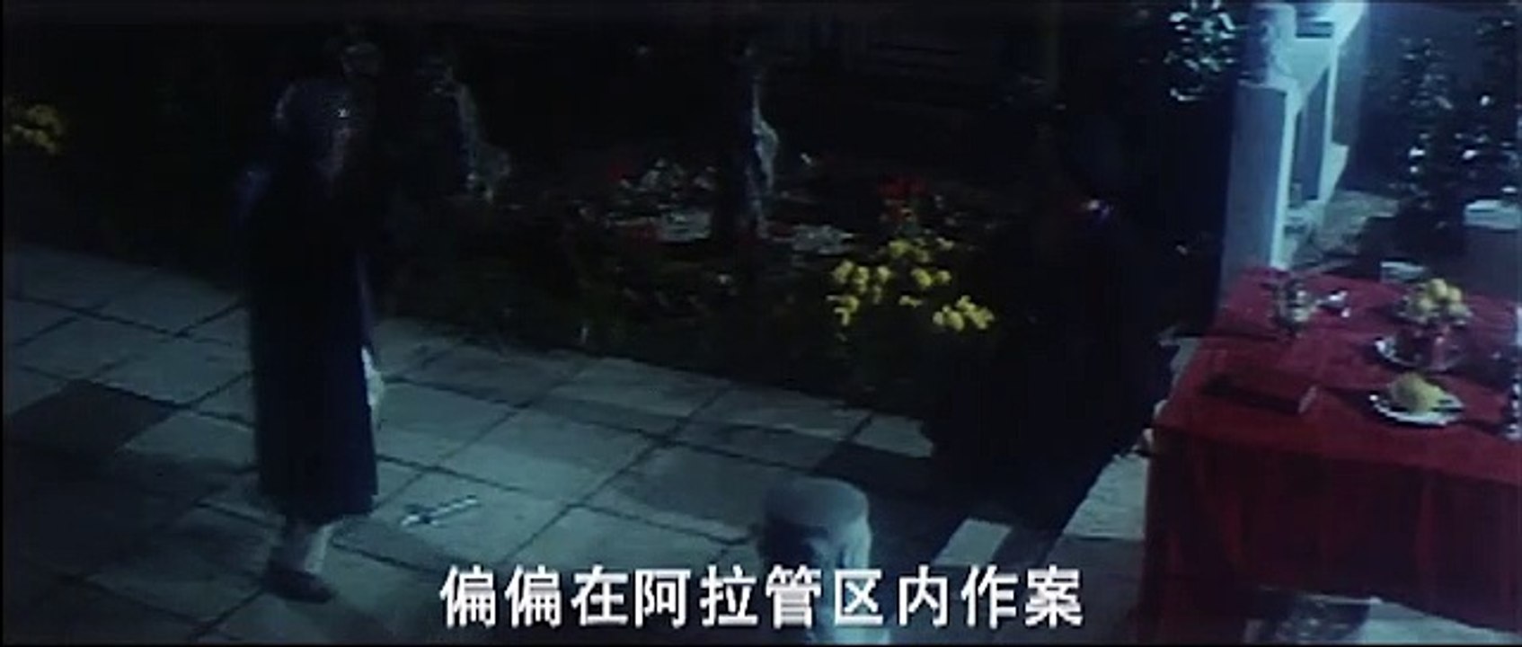 神台猫B