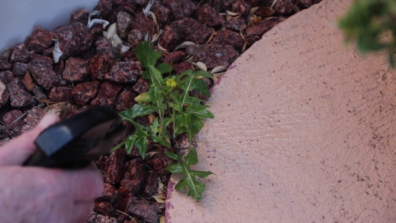 Effective home made weedkiller.