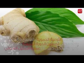 شوووف الحكاية| أعشاب تساعدك على إنقاص وزنك 3 كيلو اسبوعياً