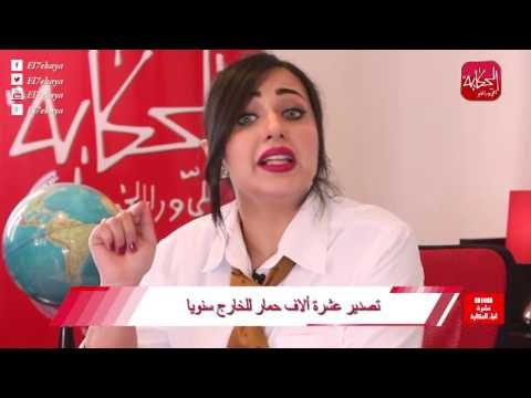 شوووف الحكاية| نشرة أنباء الحكاية (أ.ح.أ) .. قلق الاعلاميين بسبب تصدير الحمير للخارج!