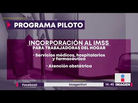 Muy pronto iniciará el programa piloto de inscripción al IMSS para trabajadoras del hogar