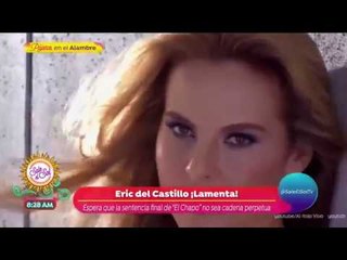 Eric del Castillo lamenta sentencia de "El Chapo" Guzmán | Sale el Sol
