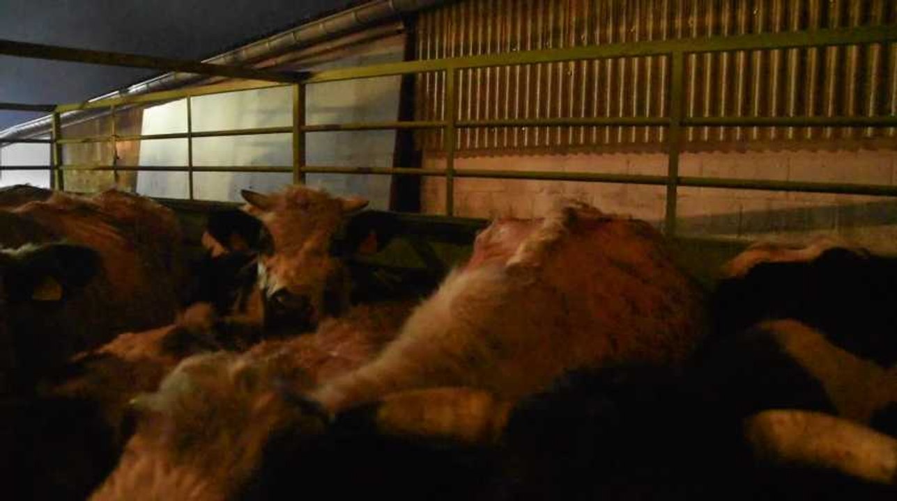 Couvin: un hangar agricole en partie détruit par un incendie