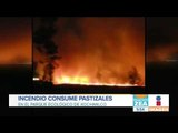 Incendio consume pastizales en Xochimilco | Noticias con Francisco Zea