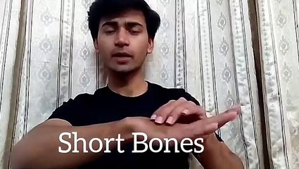 Fundamentals Of Anatomy & Physiology