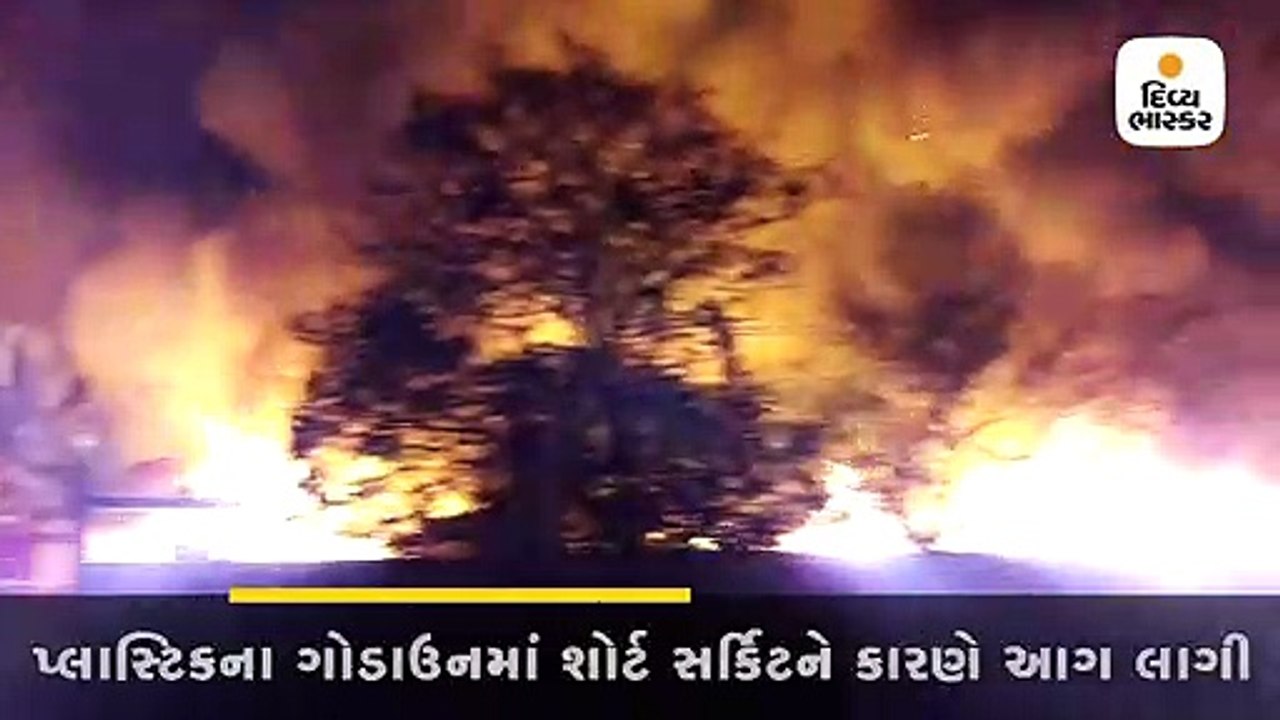 Divya bhaskar videos