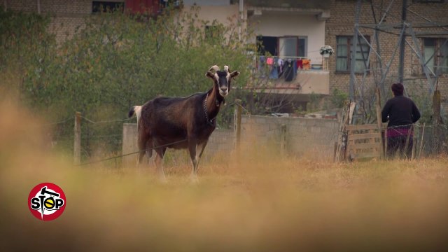 Stop-Këshilli Bashkiak Prrenjas kerkon mbledhje per stadiumin 1 miliarde lekesh! (21.02.2019)