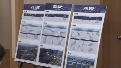 4대강 보 처리 운명 가른 요인은? / YTN
