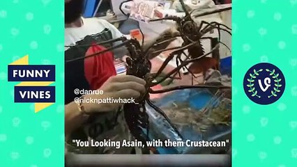 Top VIRAL VIDEOS of the Week! September 2019 Funny Vine