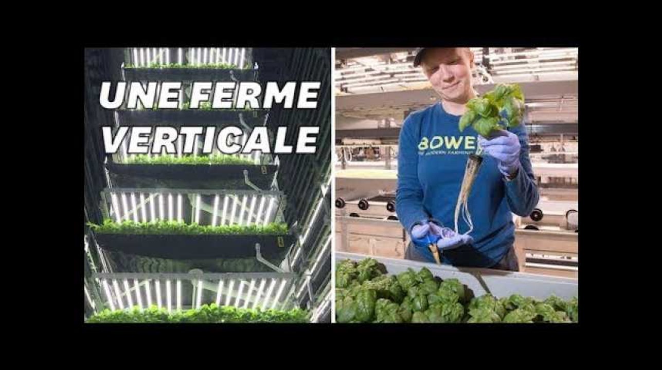 Cette ferme cultive des légumes dans le vide