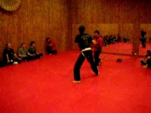Combat kung fu jeet kune do 03