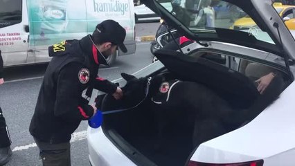 İstanbul'da "Kurt Kapanı" Uygulaması