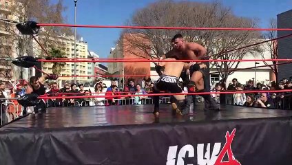 Japan Expo sud à Marseille : des catcheurs font le show à la japonaise