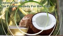 Best Hair Oil For Faster Hair Growth | Life & Pursuits