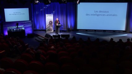 Les dessous des intelligences animales