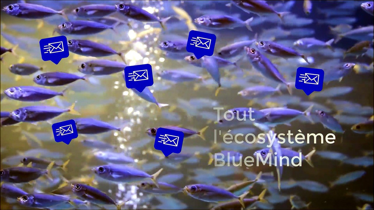 BlueMind Summit