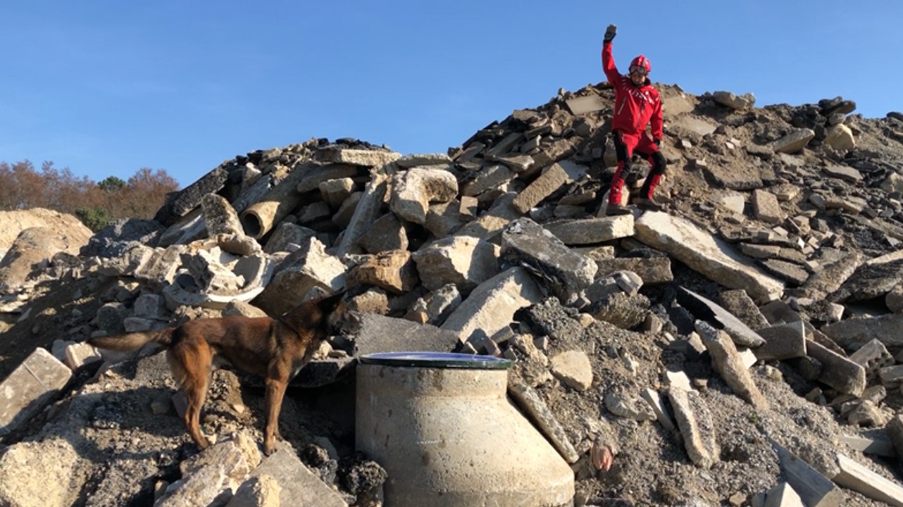 Exercice avec les chiens de recherche des pompiers