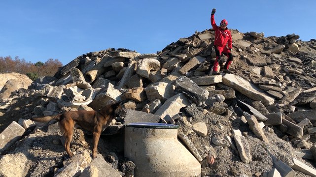 Exercice avec les chiens de recherche des pompiers