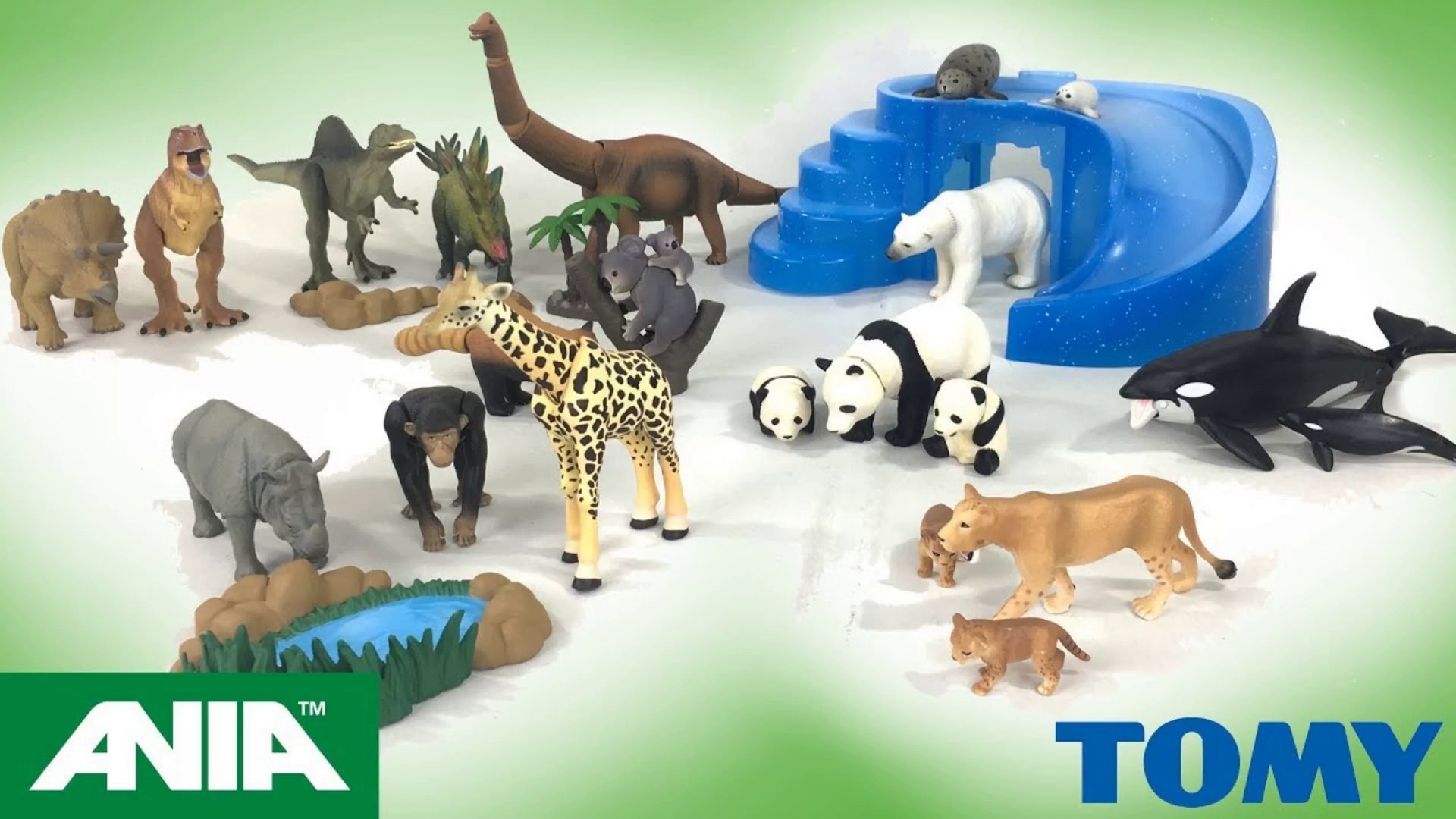 Tomy ANIA Dinosaurs Safari Wildlife Animals Zoo Killer Whale Toy Unboxing  || Keith's Toy Box - video Dailymotion