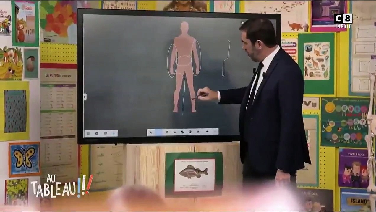 Vidéo : Christophe Castaner explique l'usage des LBD dans l'émission «Au tableau !»
