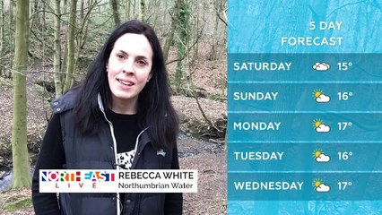 WEATHER: February 25th 2019