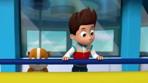 Paw Patrol Pups Save English  Animation Movies Top For Kids S06E014