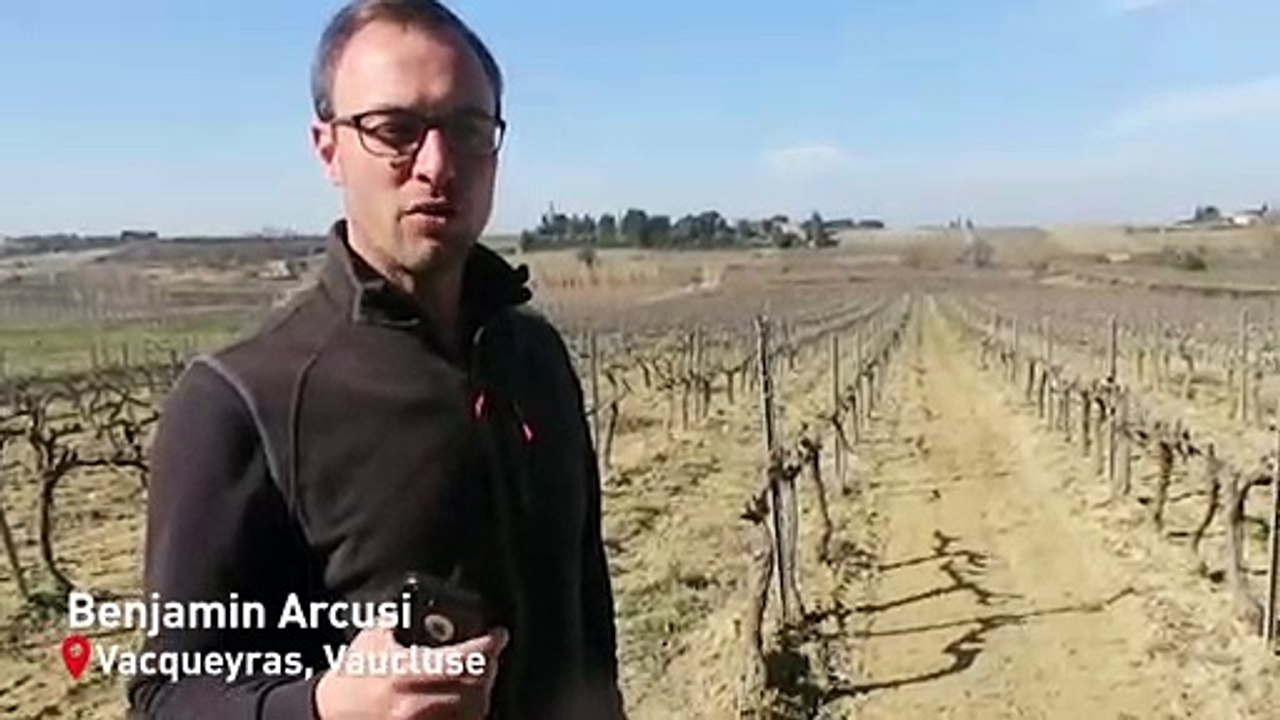 VAUCLUSE Benjamin Arcusi à Vacqueyras