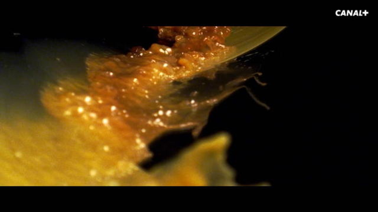 Sugarland Drogue - SUGARLAND