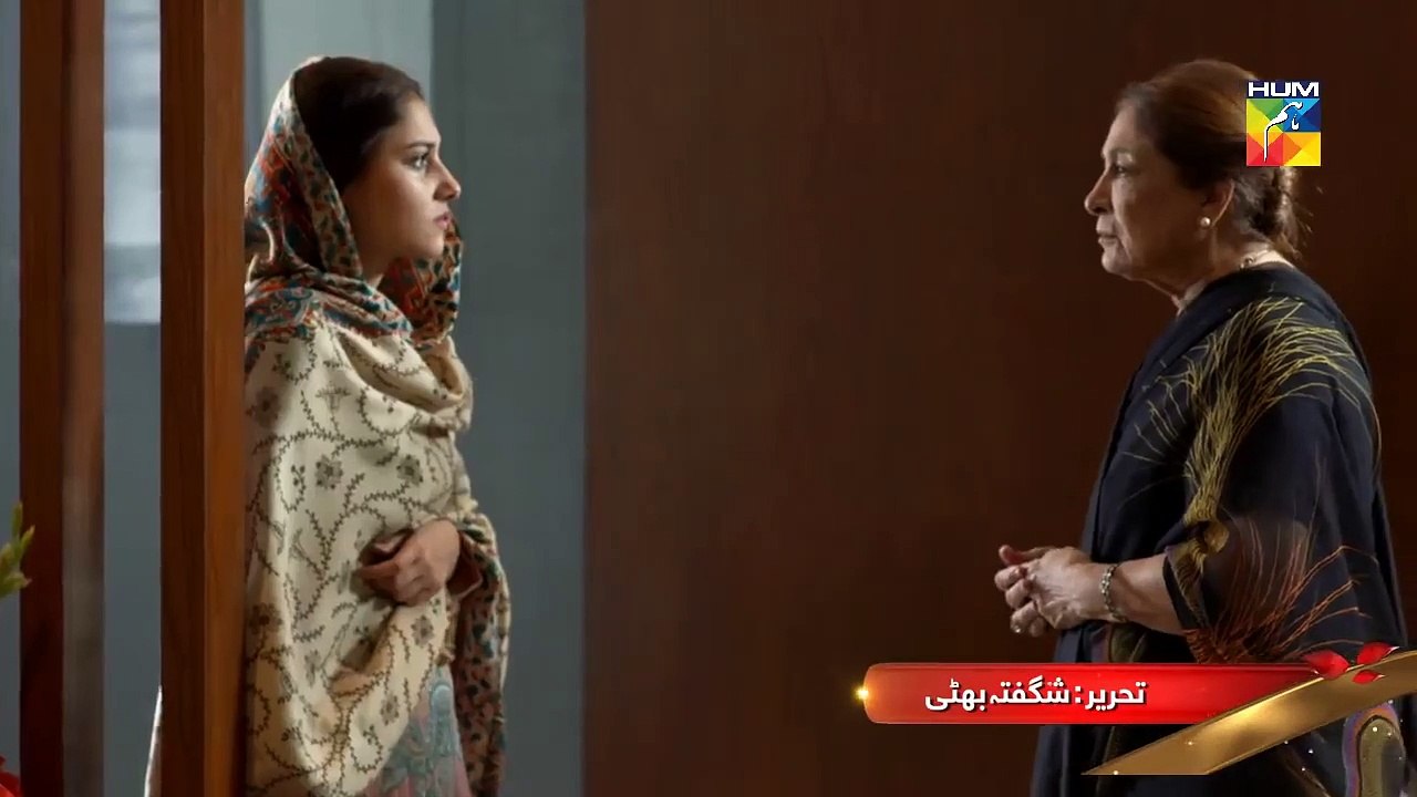 Aatish Upcoming  Pro HUM TV Drama