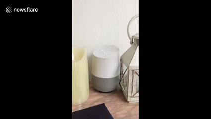 Google Home device gives bizarre answer to animal question