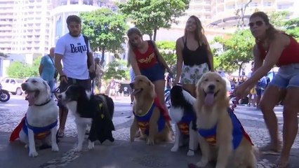 شاهد" الكلاب الخارقون" في مهرجان ريو دي جانيرو الاستعراضي