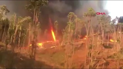 Dha Dış - Yanan Ağaçlık Alanda Oluşan Hortum Alevleri Göğe Yükseltti