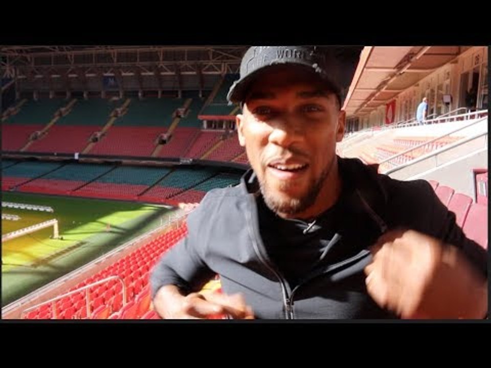 ANTHONY JOSHUA (UNCUT) ON PULEV, KLITSCHKO RETIRING, WILDER/ORTIZ, HAYE, WHYTE, MAYWEATHER-McGREGOR