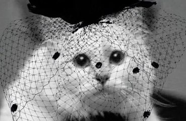 Choupette Lagerfeld 'in mourning' for Karl following death