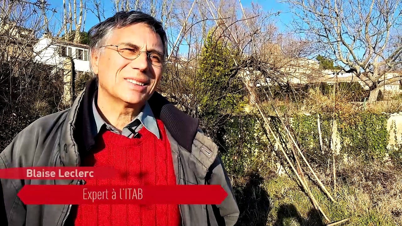 Cucuron : comment aérer la terre de votre potager sans vous fatiguer selon Blaise Leclerc