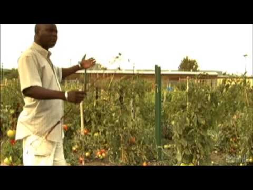 MTL12 - Marché Maisonneuve - Jean-Guy et le jardin