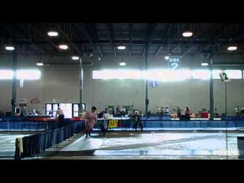 Minutes Urbania: L'image, rue Saint-Hyacinthe