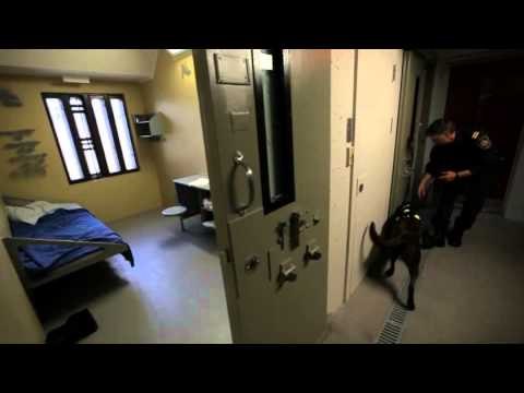 Le pénitencier de Donnacona : Claude Amyot, maitre chien - QC12