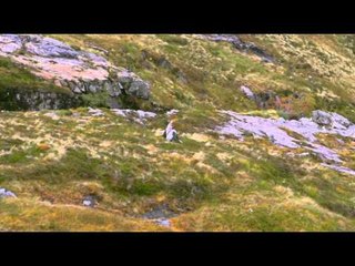 Tamy@UK - Glasgow : Roadtrip aux Highlands