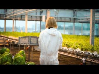 Made In Québec: Fermes Lufa