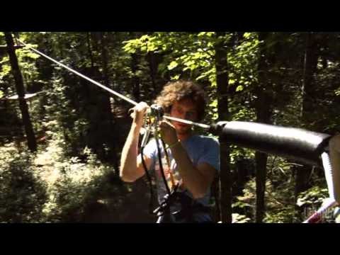 D’arbre en arbre avec Misteur Valaire