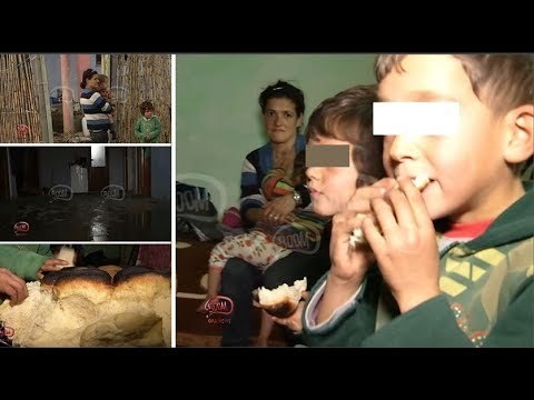 BOOM: Familja Shandori në Divjakë që mban frymën me kanoçe dhe lypje