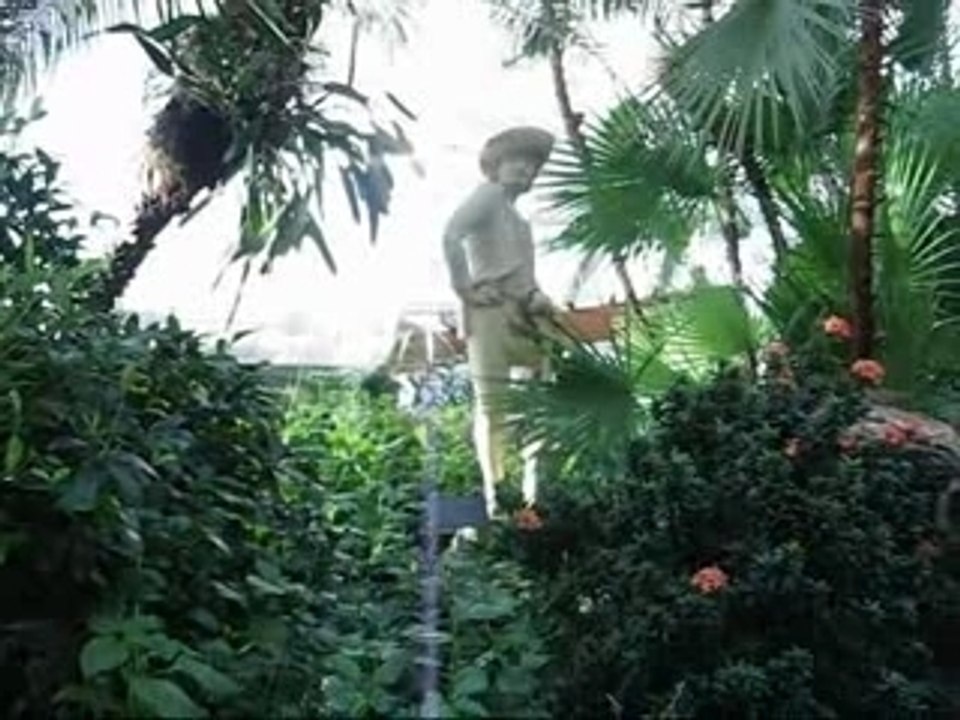Niagara Falls Butterfly Consevatory - Tropical Paradaise
