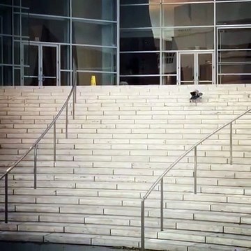 Ce chien descend 30 marches en skateboard !