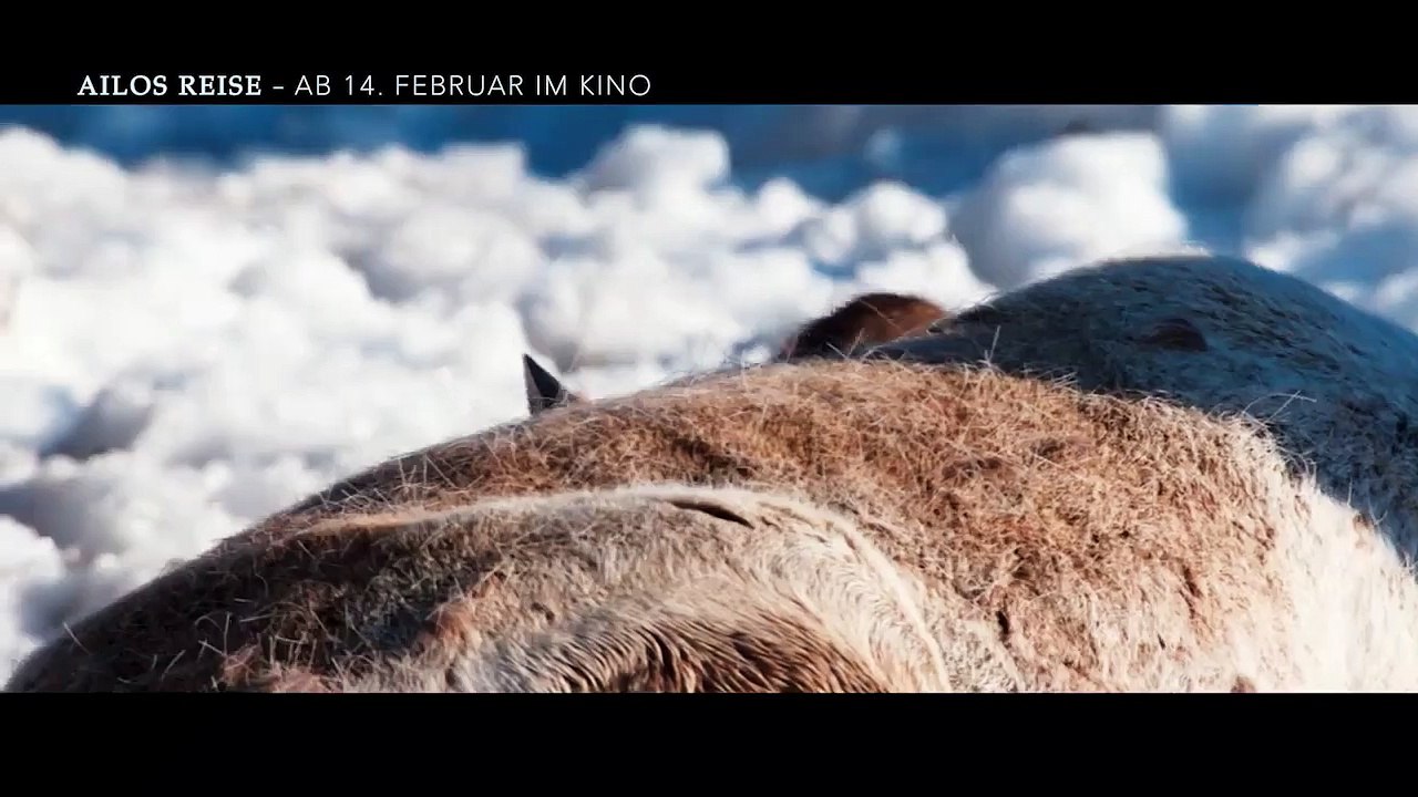 AILOS REISE - ab 14. Februar 2019 im Kino!