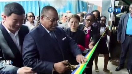 RTG - Inauguration d’une société Chinoise de transformation de bois à NKOK et pose des premières pierres de deux entreprises Indienne par le Premier ministre